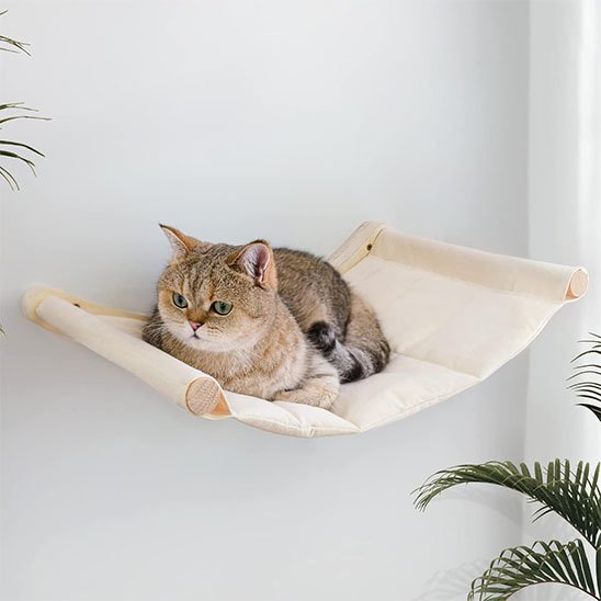 confortable hamac chat