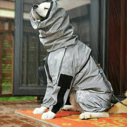 cour pluie confortable chien 