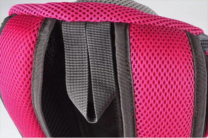 demontration sac de transport chien