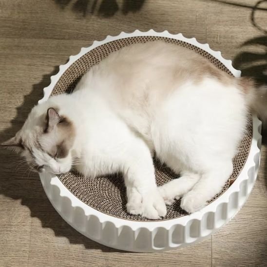 design protec Griffoir chat