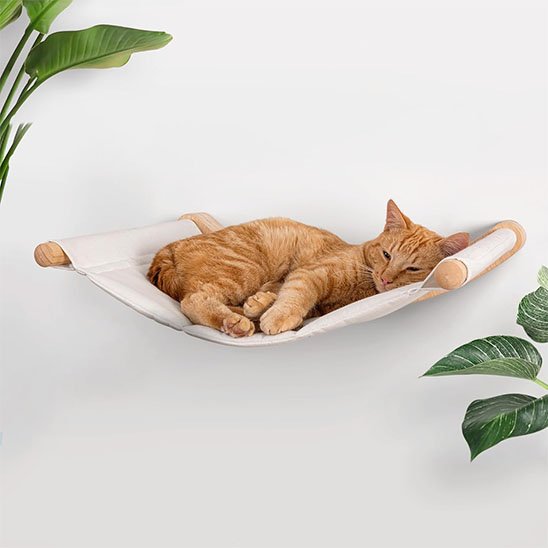dodo hamac chat