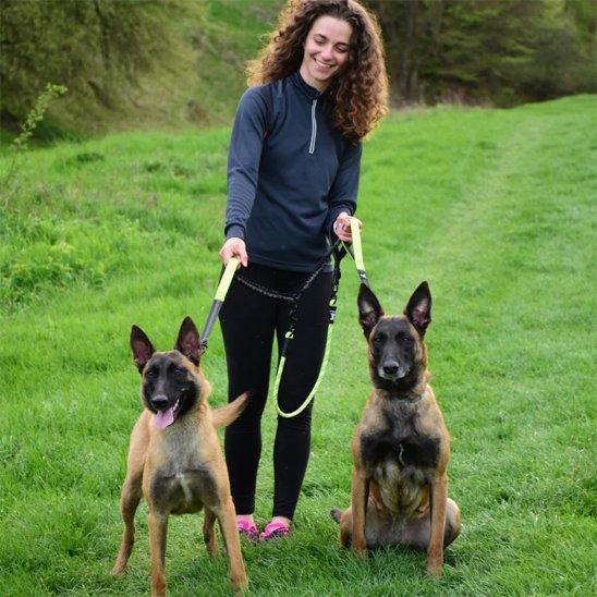 Double laisse pour chien anti