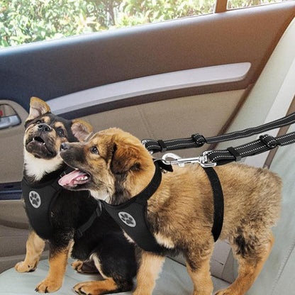 Double laisse pour chien chiot