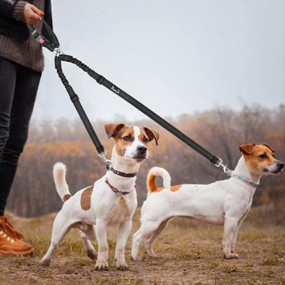 Double laisse pour chien terrier