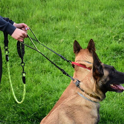 Double laisse pour chien vert