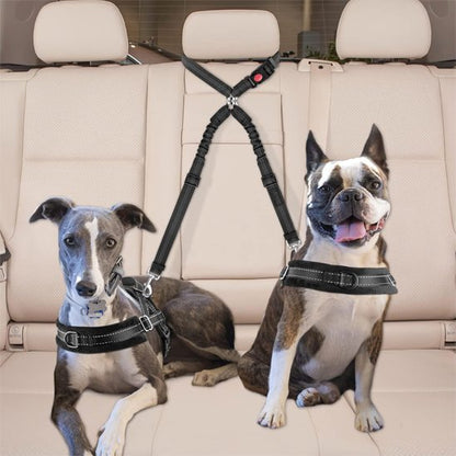 Double laisse pour chien voiture