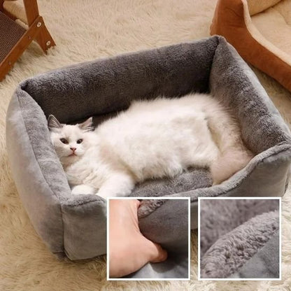 doux lit chat gris