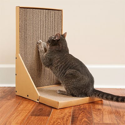 durabliss Griffoir en carton pour Chat
