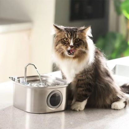 eau fraische fontaine a eau chat