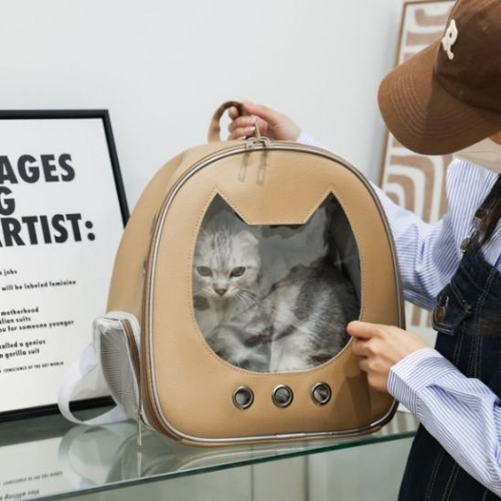 ergonomique-Sac a dos chat