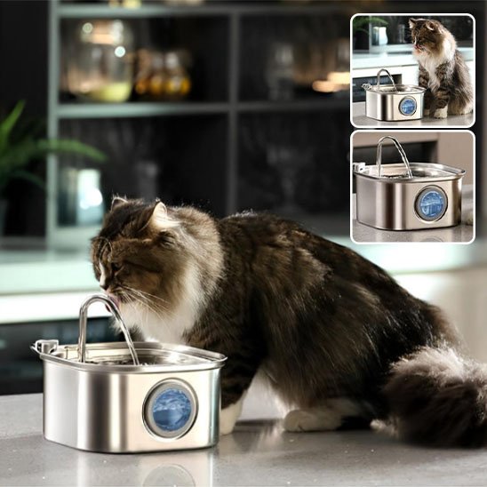 fontaine a eau chat Filtrée