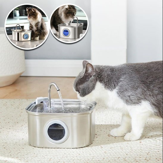 fontaine a eau chat Fraîcheur Filtrée