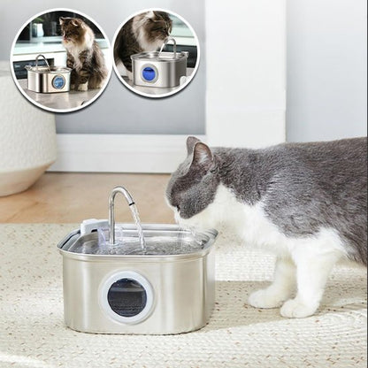 fontaine a eau chat Fraîcheur Filtrée