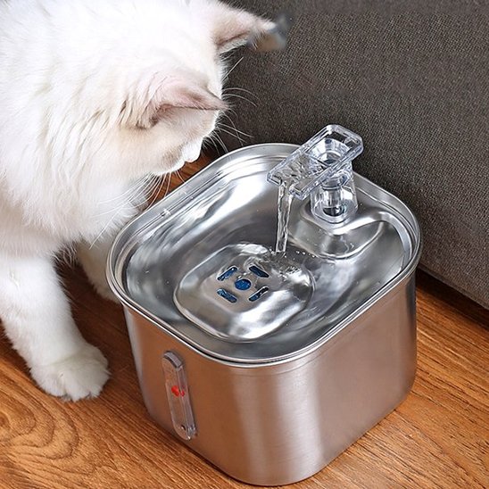 Fontaine a eau chat Silencieuse Filtrante