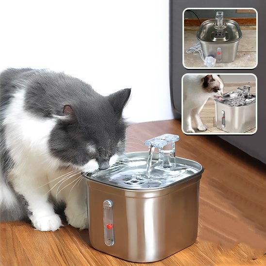 Fontaine a eau chat argent