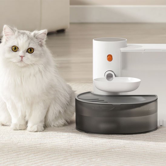 Fontaine a eau chat automatique