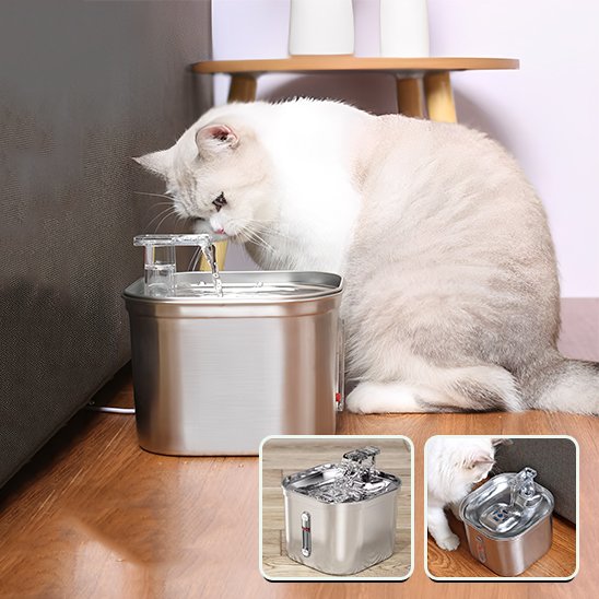 Fontaine a eau chat silver