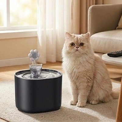 Fontaine à eau pour Chat Filtration Continue noir