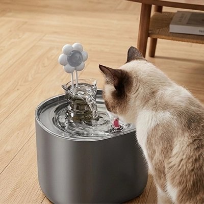 Fontaine à eau pour Chat