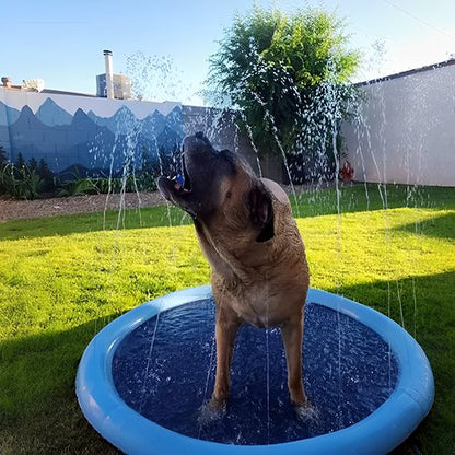 fresh Piscine pour chien summer