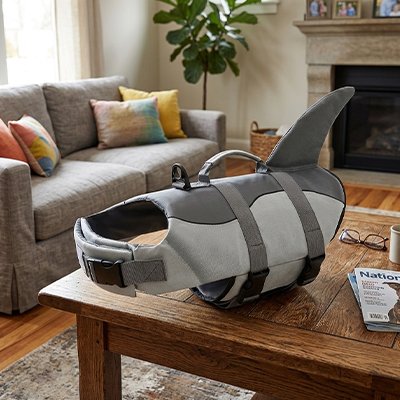 Gilet de sauvetage Chien  Flottabilité optimale