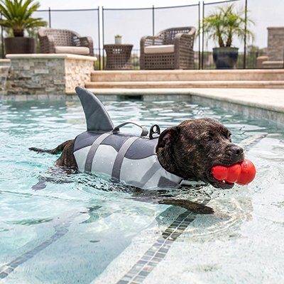 Gilet de sauvetage Chien piscine