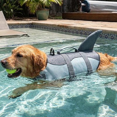 Gilet de sauvetage Chien requin