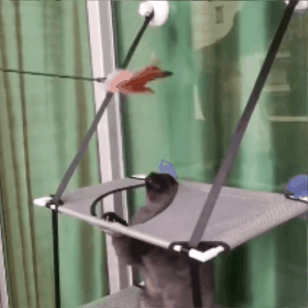 hamac pour chat fenetre