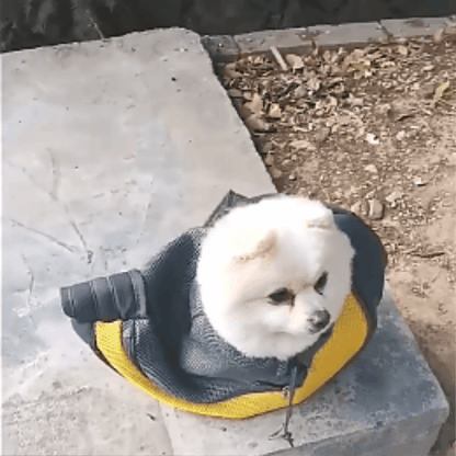 sac a dos pour chien