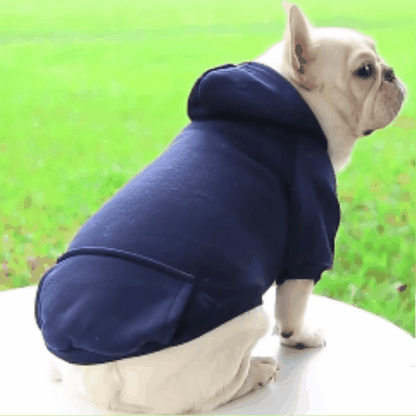 vetement pour chien | Tatchy