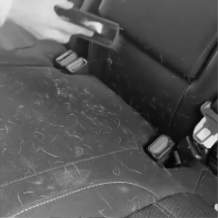 chien voiture protection