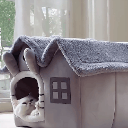 niche pour chat