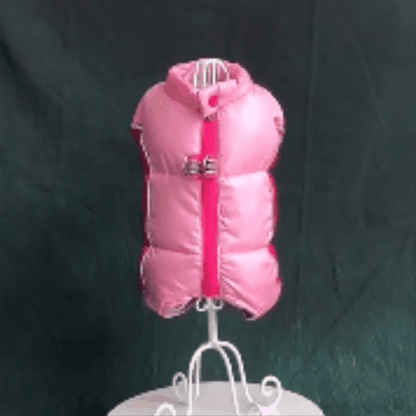 manteau pour chien