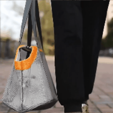sac transport chien | Taxon