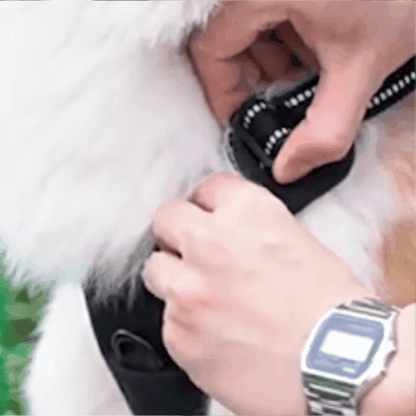 harnais pour chien | Rexy