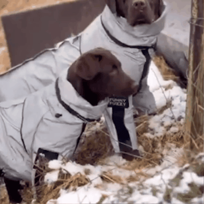 imperméable pour chien | WateRessisty