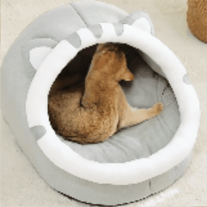 coussin chat
