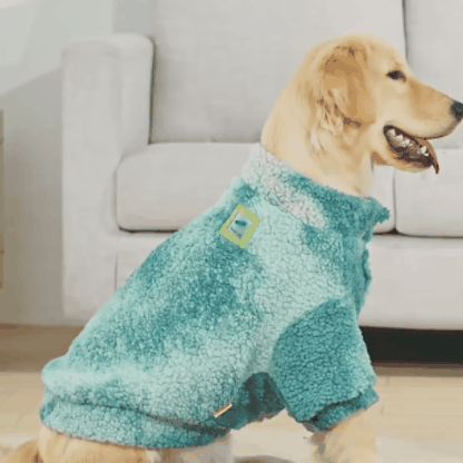 vetement pour chien