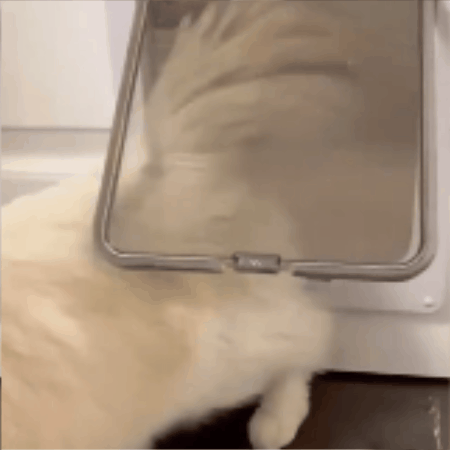chatiere pour chat | RonRon