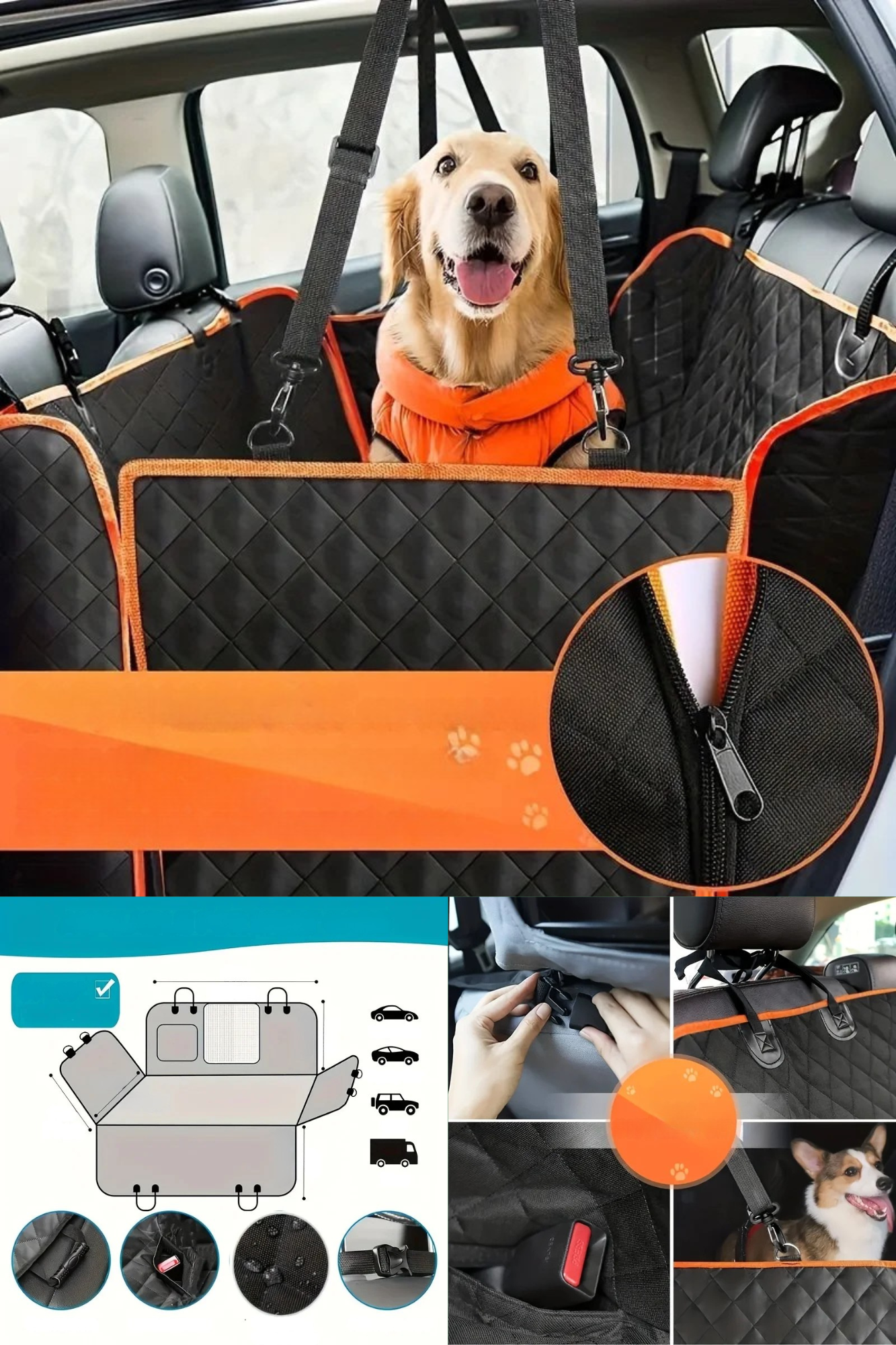 golden protection voiture