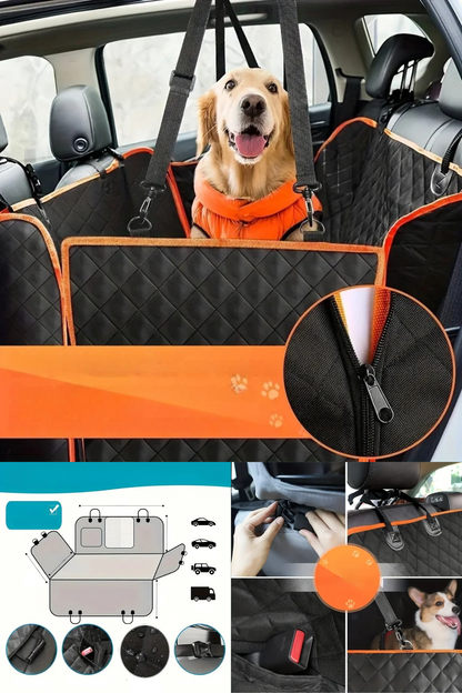 golden protection voiture