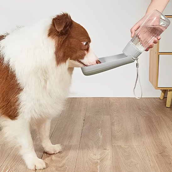 Gourde chien Portable étanche