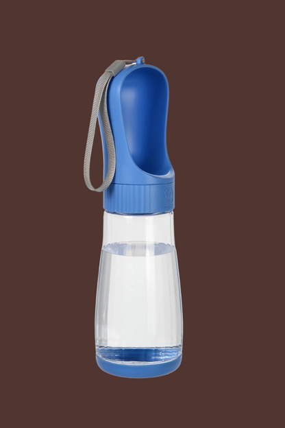 gourde chien bleu 550ml