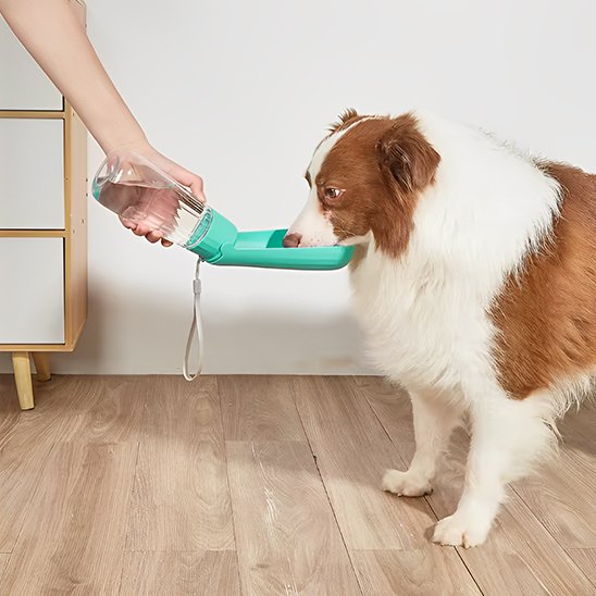 Gourde chien bleu Portable étanche