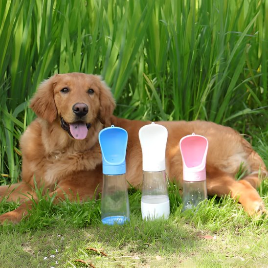 Gourde chien bleu blanc rose