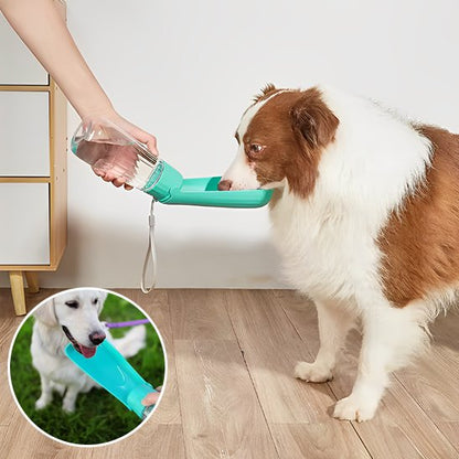 Gourde chien bleu
