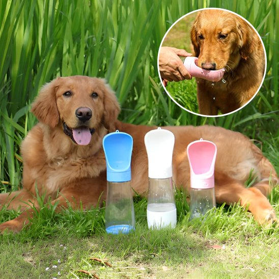 Gourde chien etanche portable