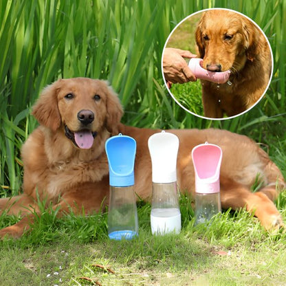 Gourde chien etanche portable