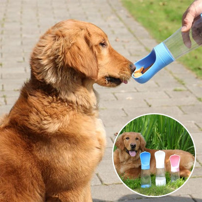 Gourde chien etanche