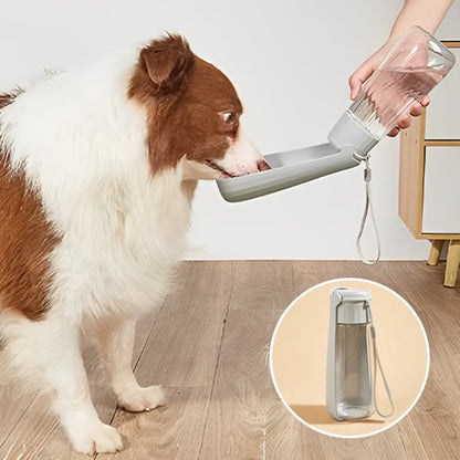 Gourde chien gris